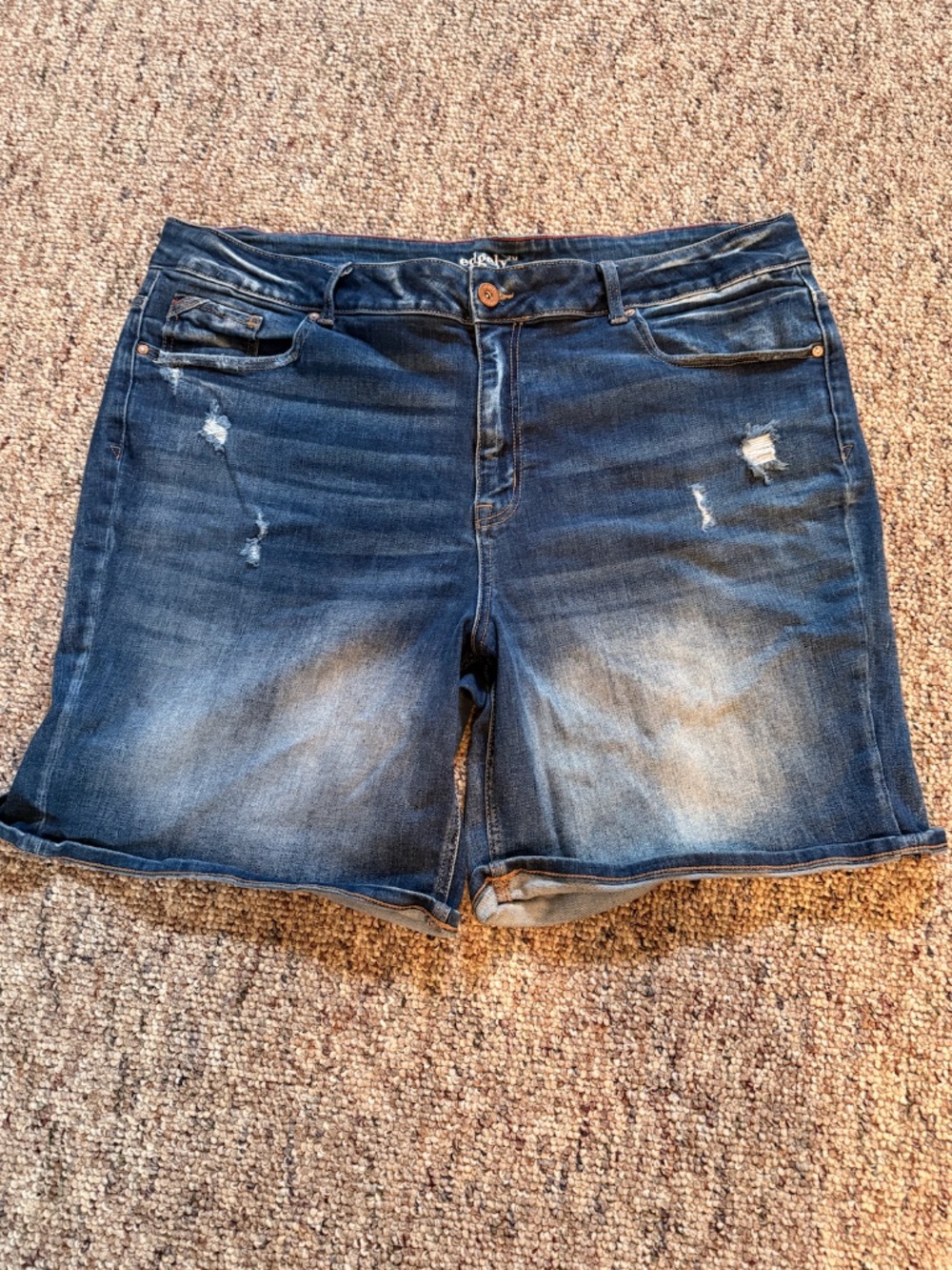 Edgely Plus Size Jean Shorts 24W High Rise Denim Shorts
